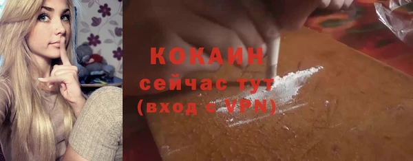 бошки Богородицк