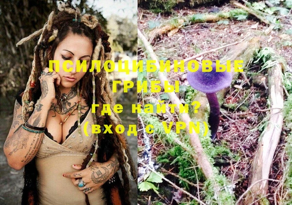 бошки Богородицк